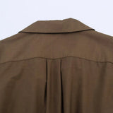 Elegantes Hemdkleid mit Reverskragen, Gürtel, langen Ärmeln, Einreiher, Herbst, Maxi