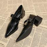 Designer Vintage Women’s Mary Jane Shoes – Fashion Pointed Toe Shallow Pumps
