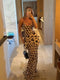 Women’s Animal Print Ruched Drawstring Slip Dress